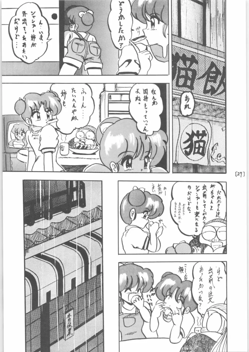 WA 3 Page.27