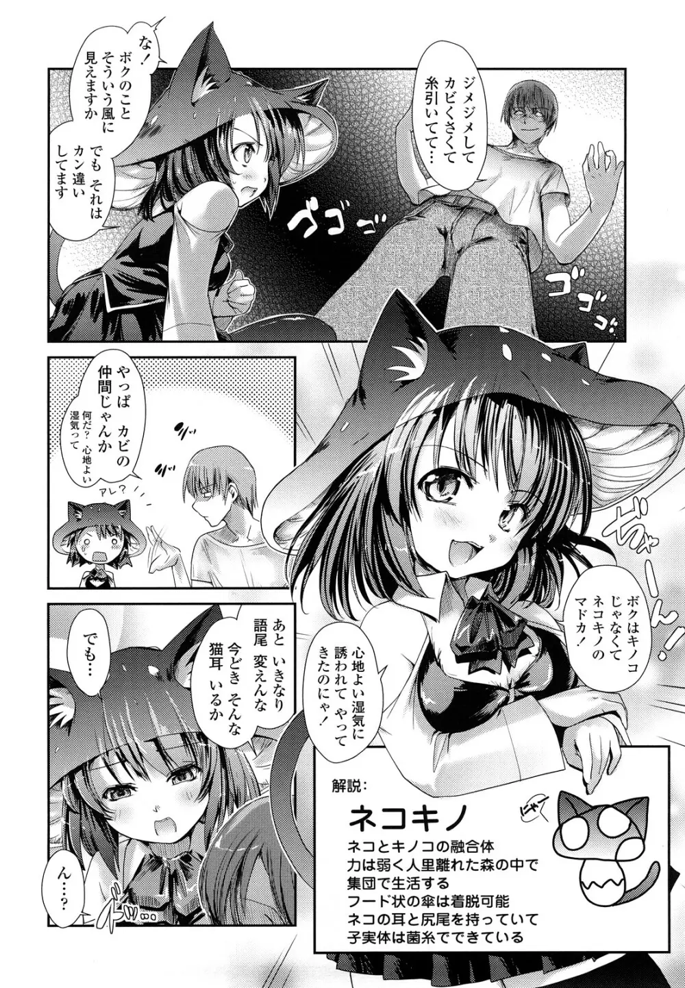 ネコキノと雨の町 Page.12