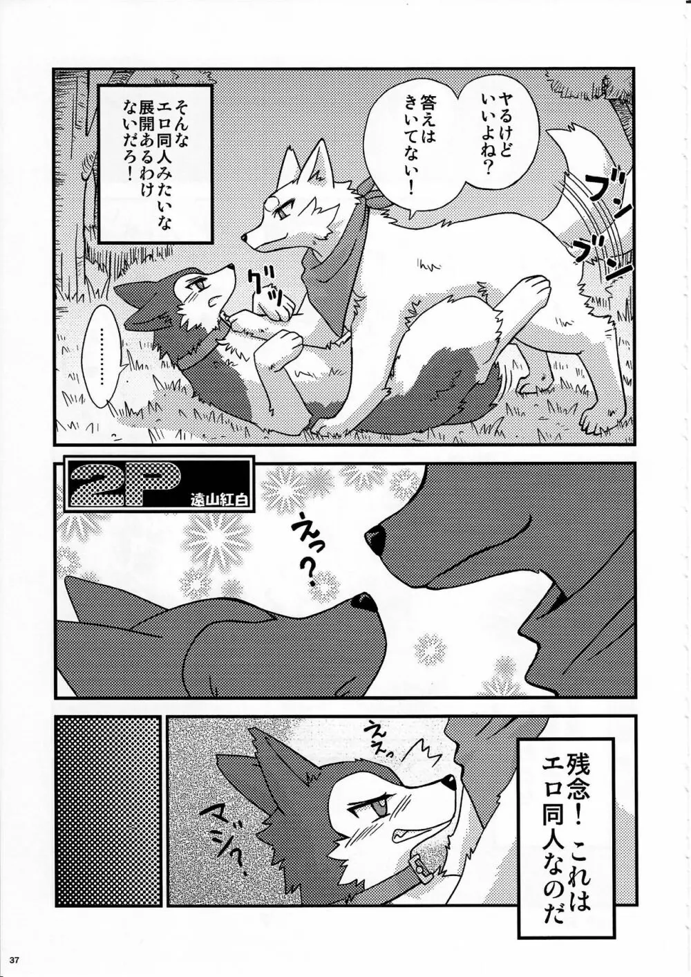 KTQ10 Page.36