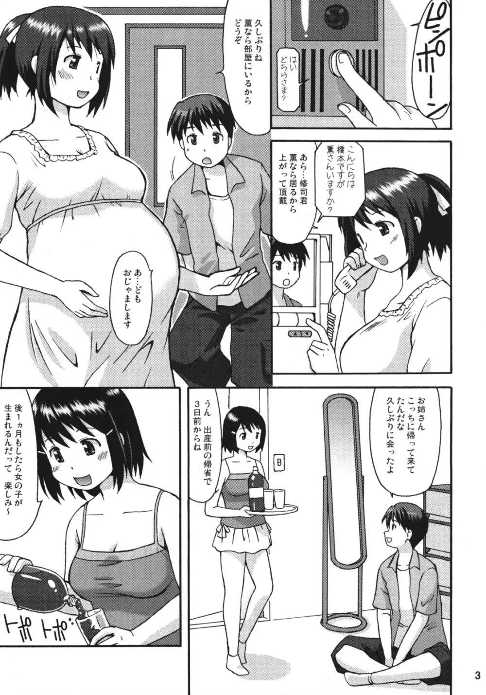 仮想妊Pu Page.2