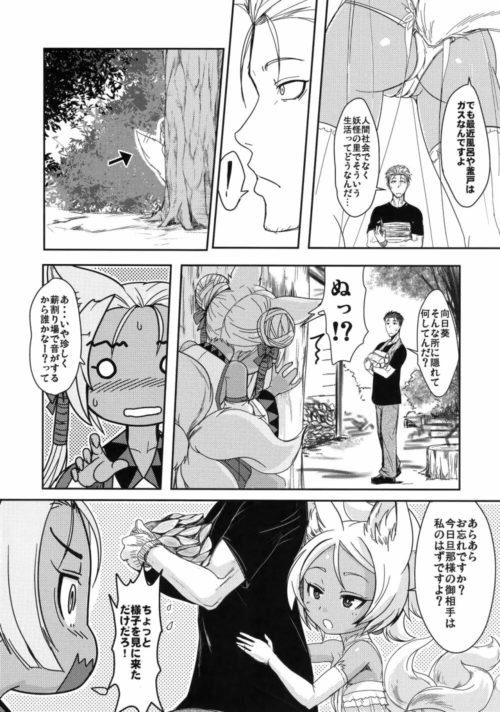 双狐の帳 其の陸 Page.5