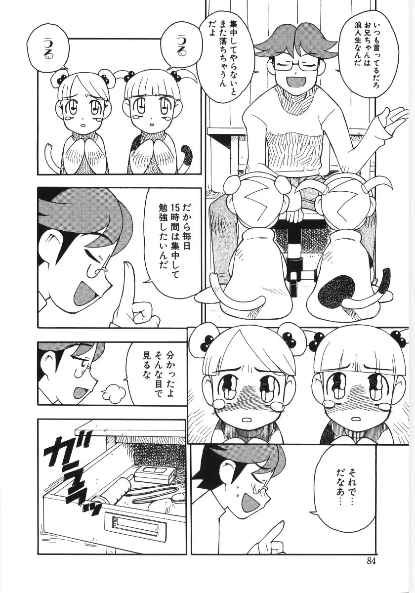 Poony Toy Page.83