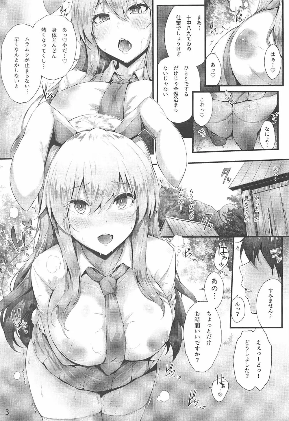 みだれうさぎ Page.2