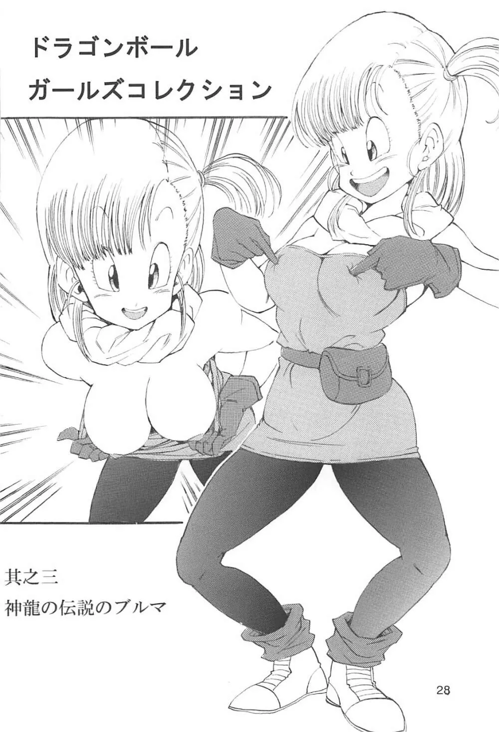 ドラゴンボールガールズコレクション1復刻版 Page.29