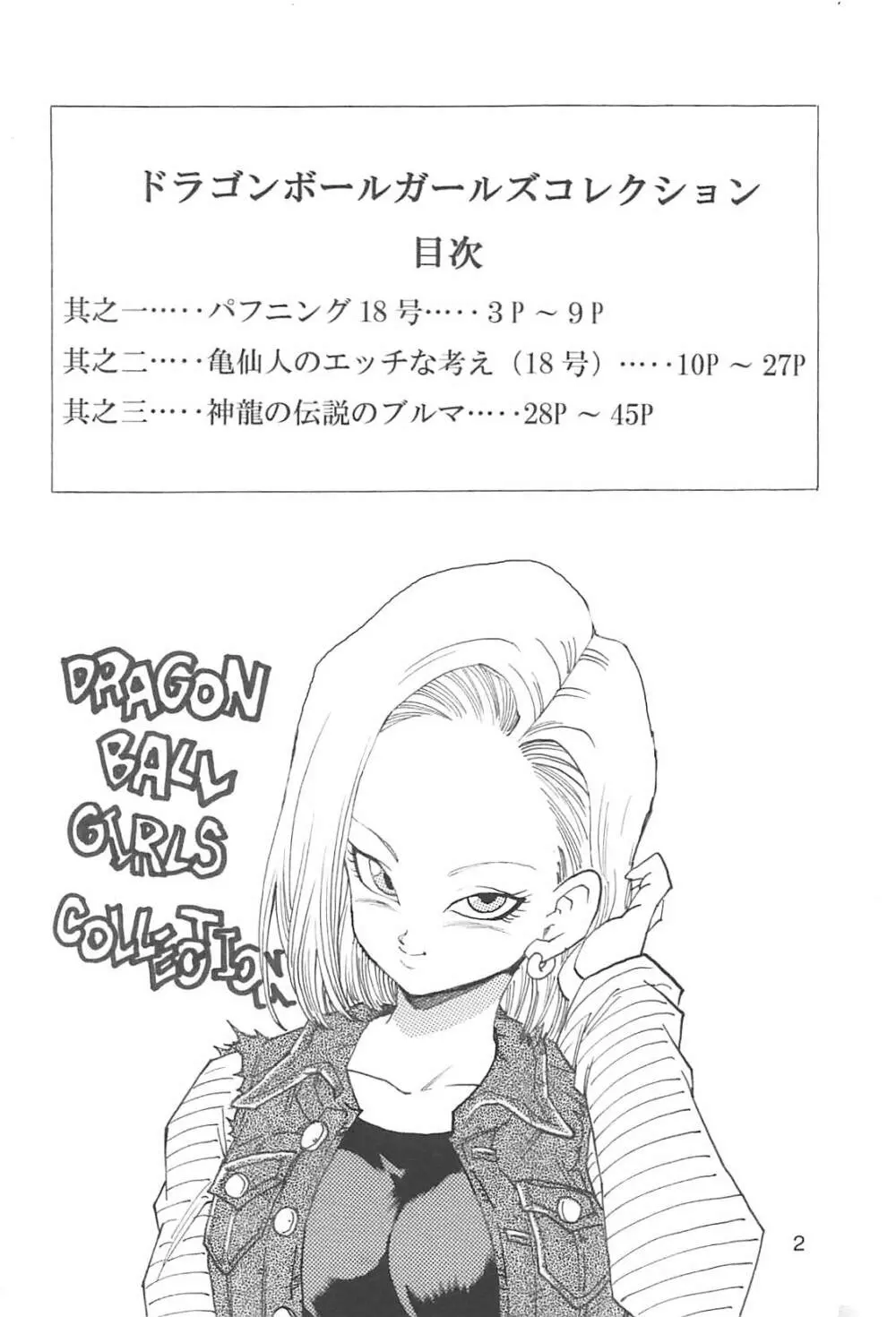 ドラゴンボールガールズコレクション1復刻版 Page.3