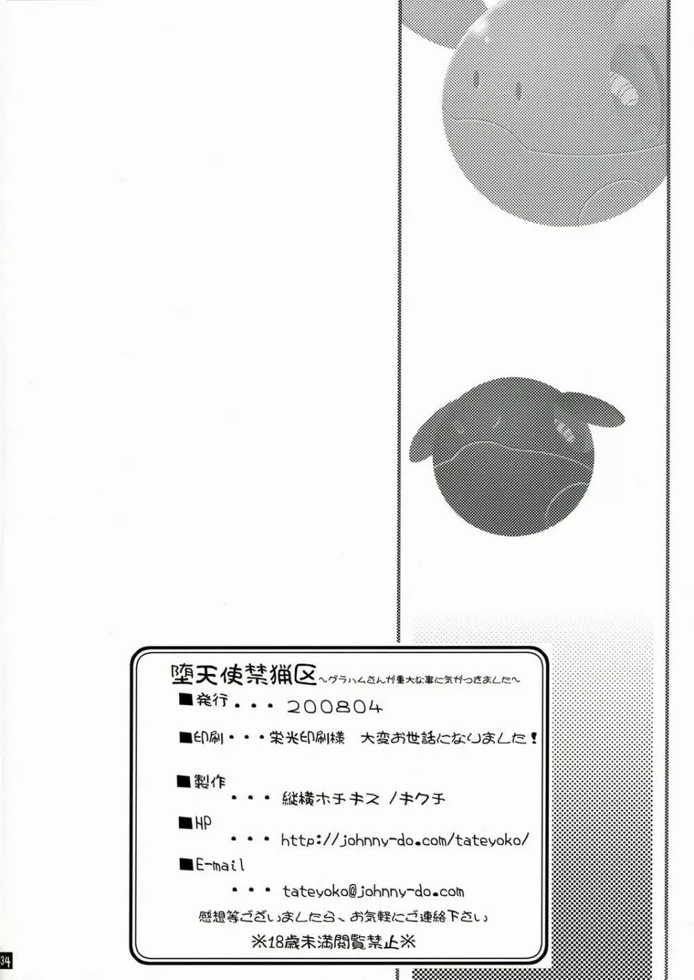 堕天使禁猟区~グラハムさんが重大な事に気がつきました~ Page.34