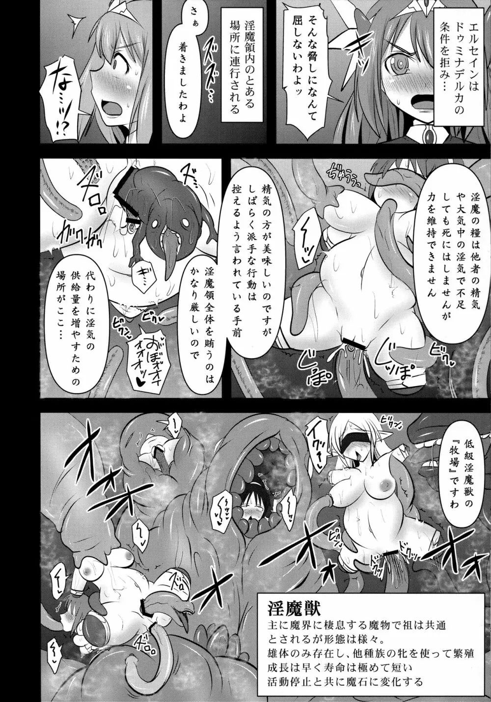 煌盾戦姫エルセイン 『邪淫境の支配者』 Page.17