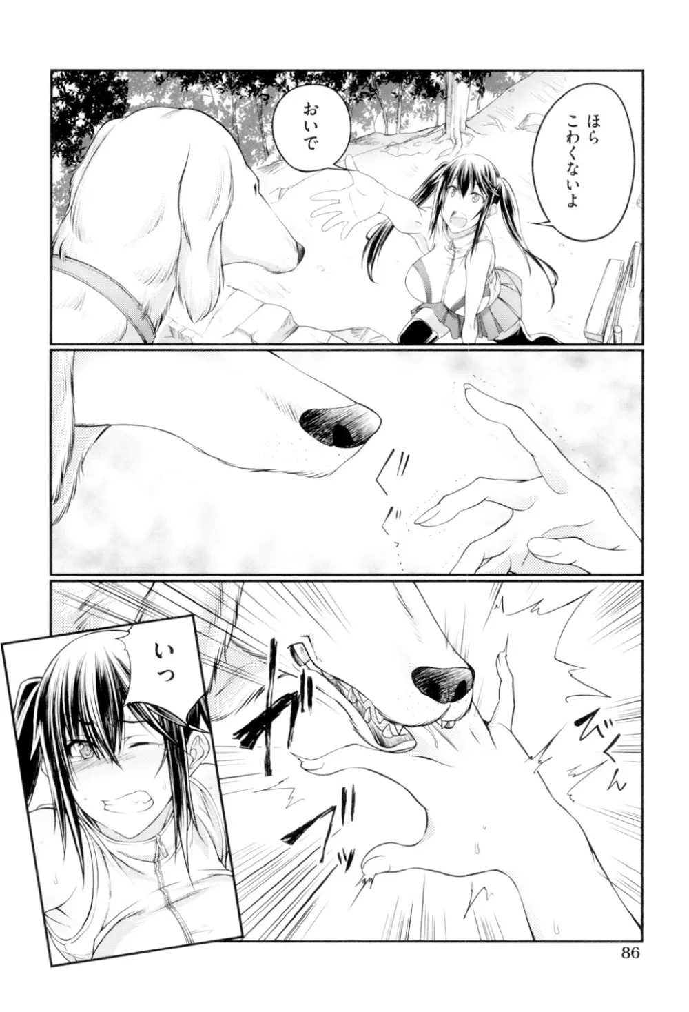 獣姦恋物語 Page.87
