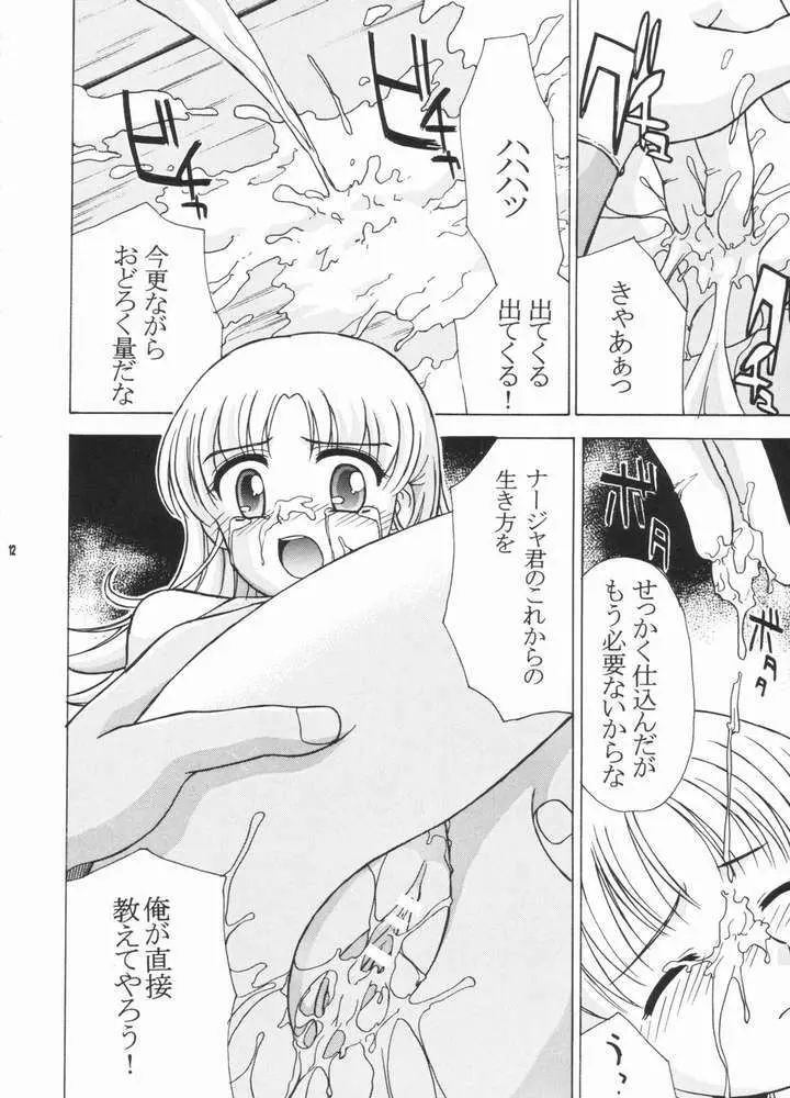 ナジャラジャ Page.11