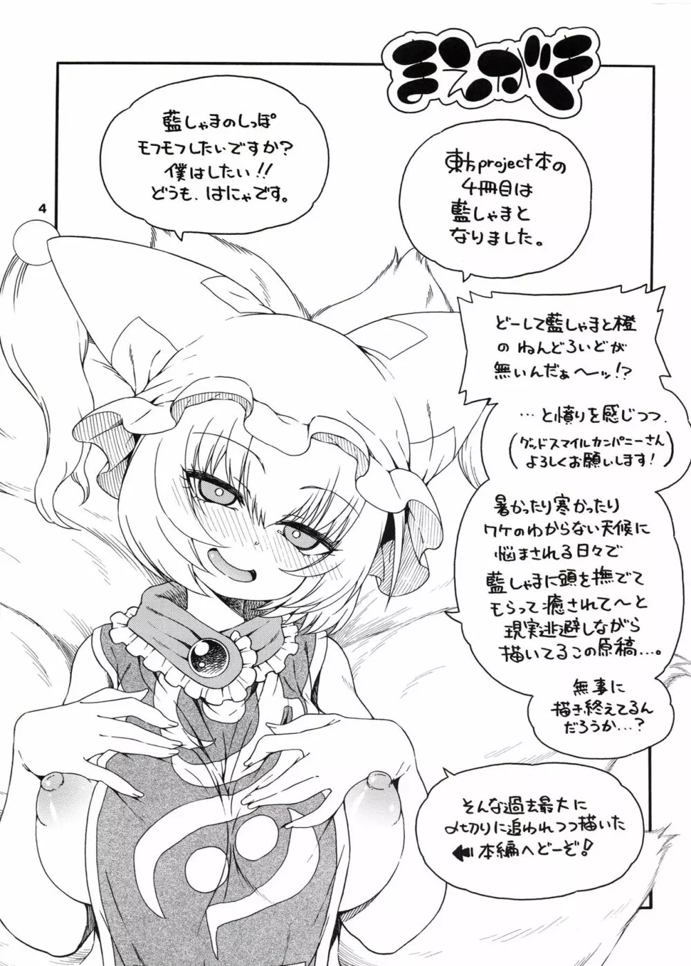 東方迷込 ~八雲藍編~ Page.3