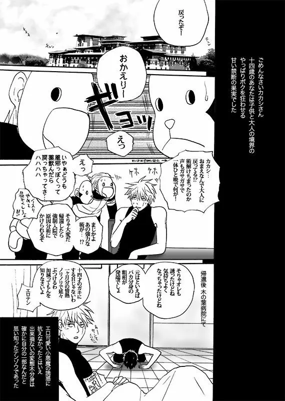 僕の禁断の果実 Page.27