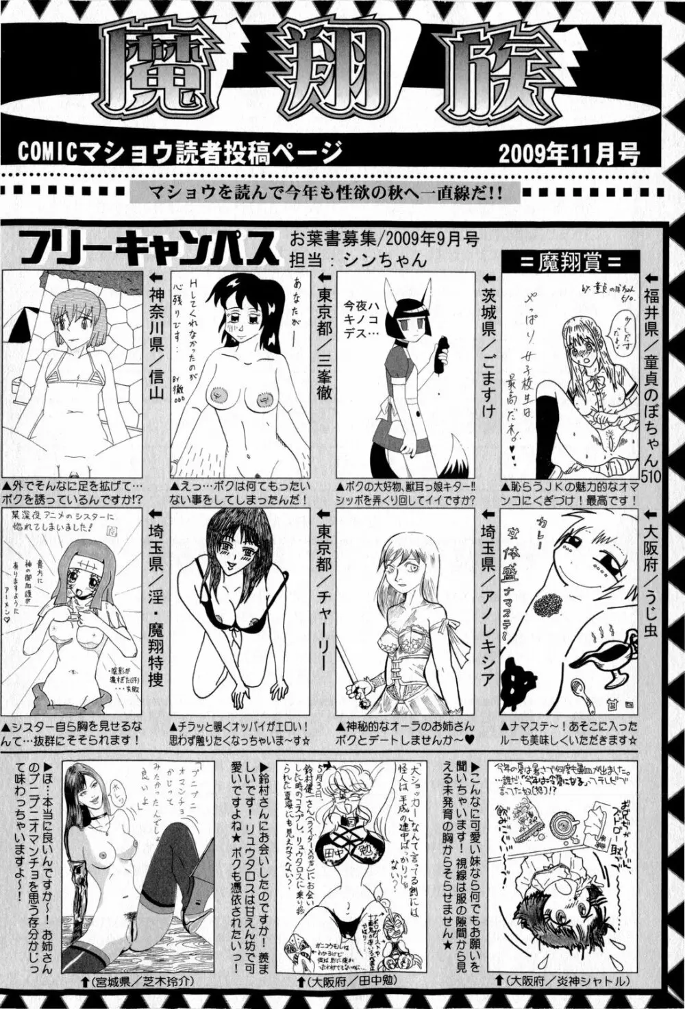 コミック・マショウ 2009年11月号 Page.254