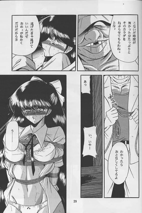 隷嬢日記 Page.27