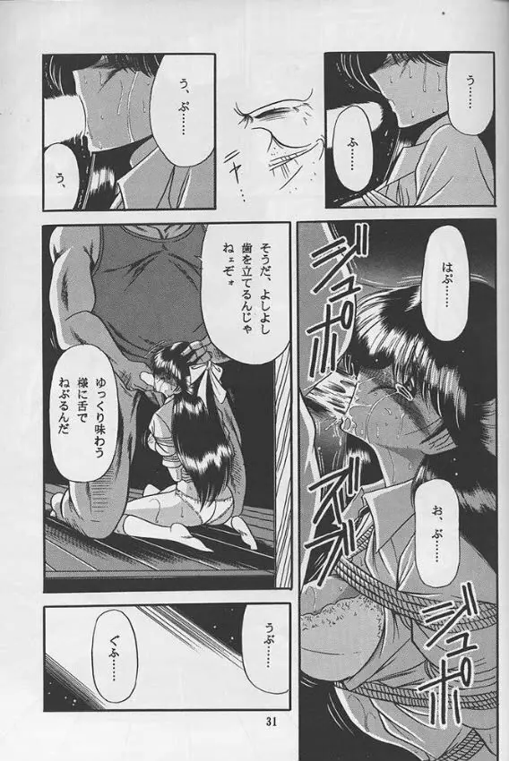 隷嬢日記 Page.29