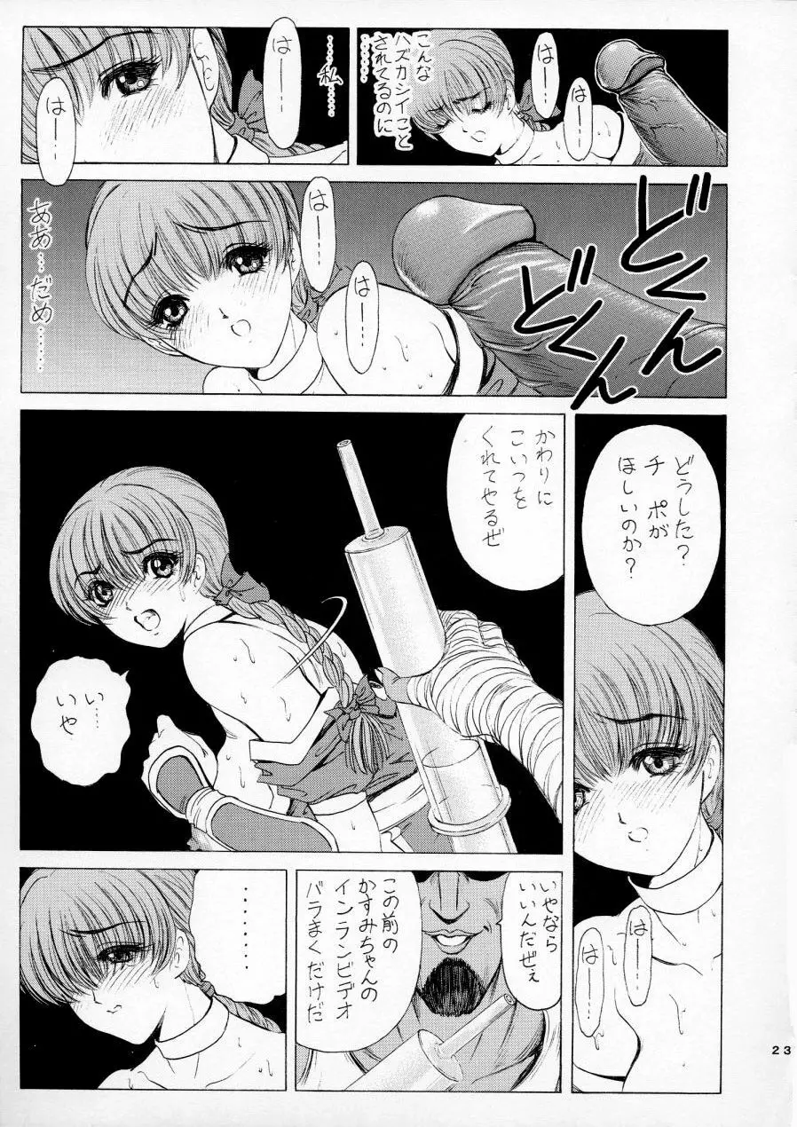 陵辱 ~DEAD or ALIVE総集編~ Page.25