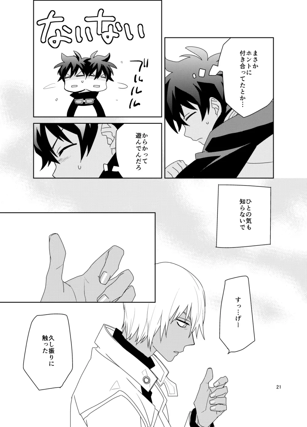 深刻なエラーが発生しました。 Page.20