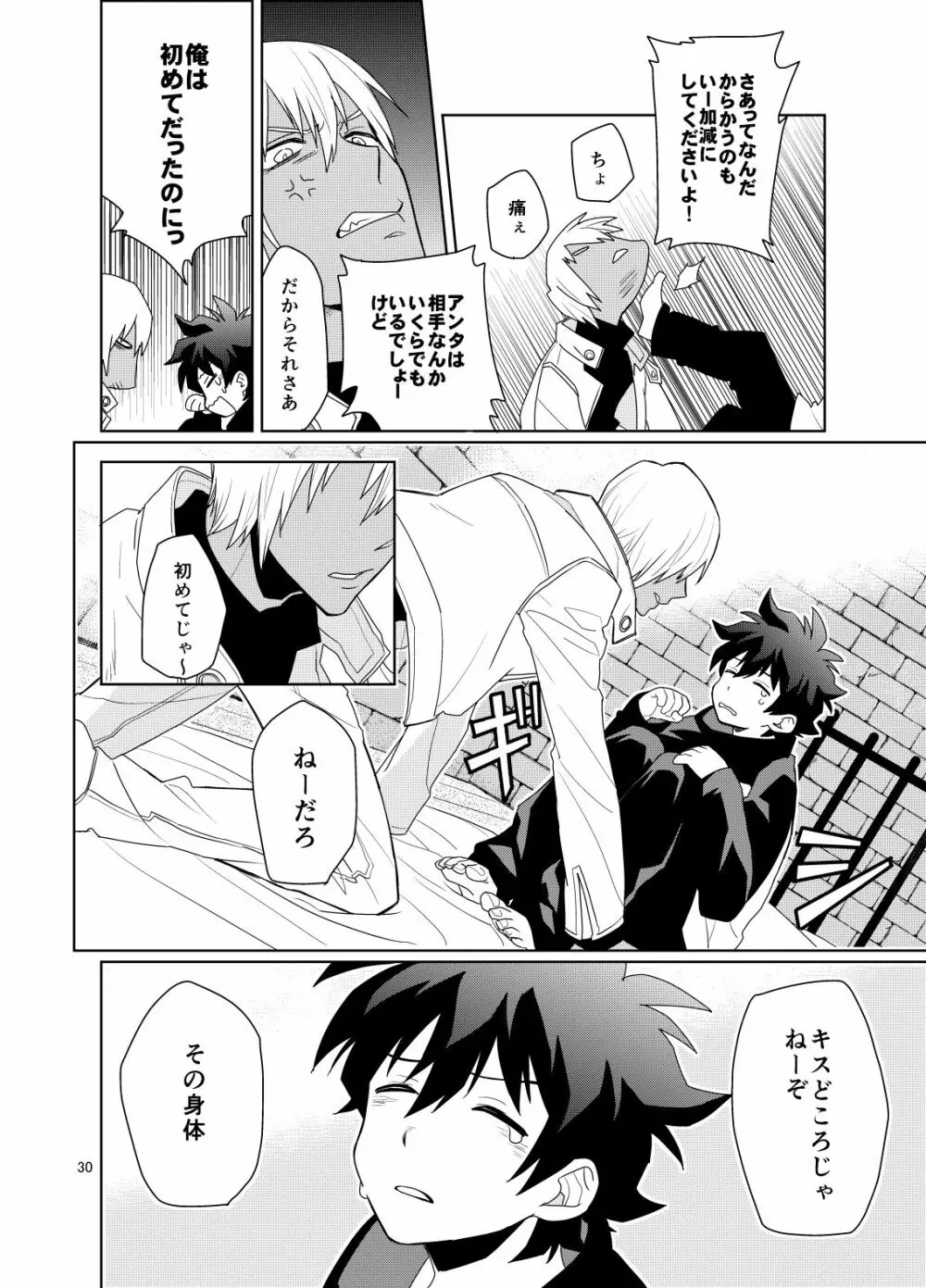 深刻なエラーが発生しました。 Page.29