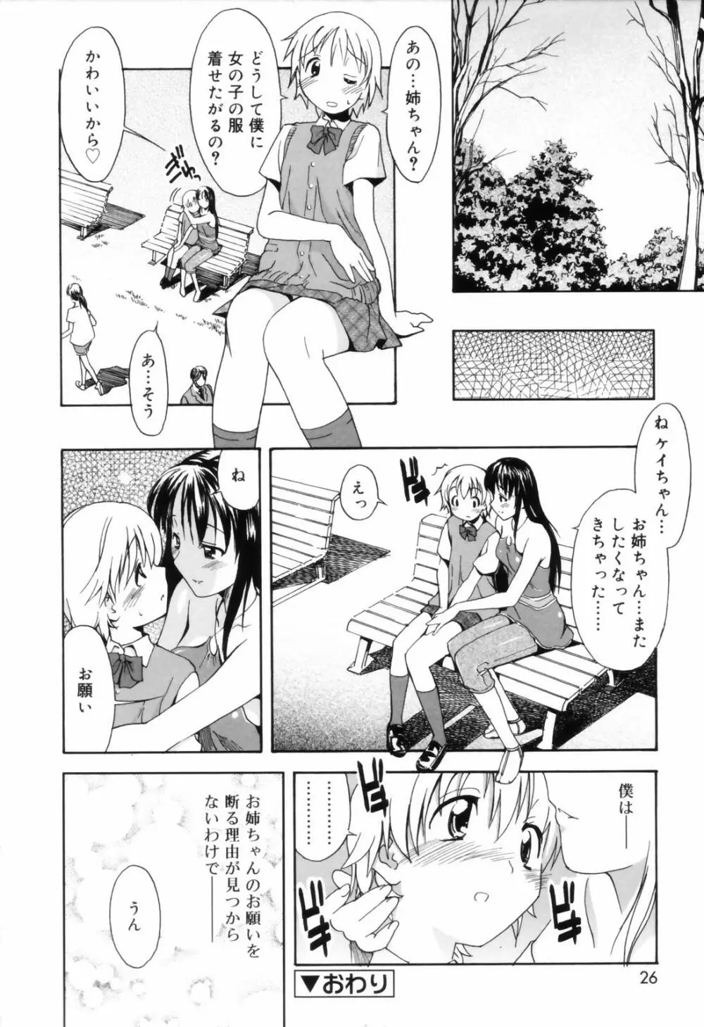 お姉ちゃんのお願い Page.26