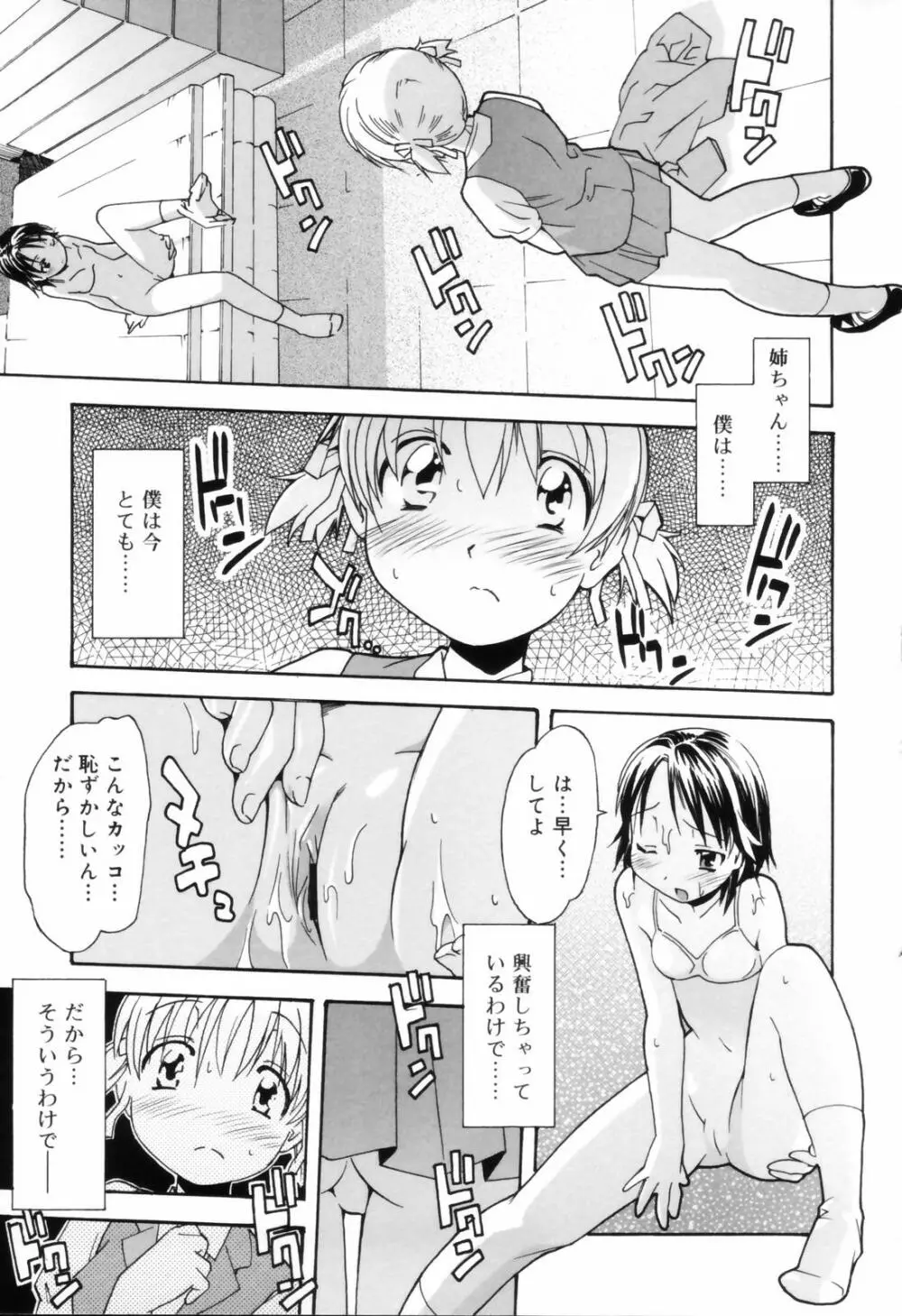 お姉ちゃんのお願い Page.39