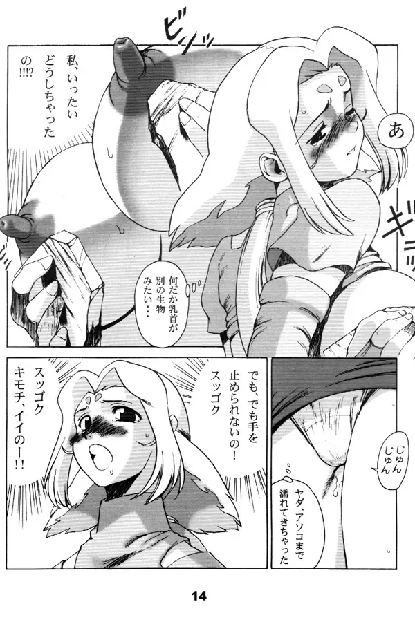 フィーネ本 Page.13