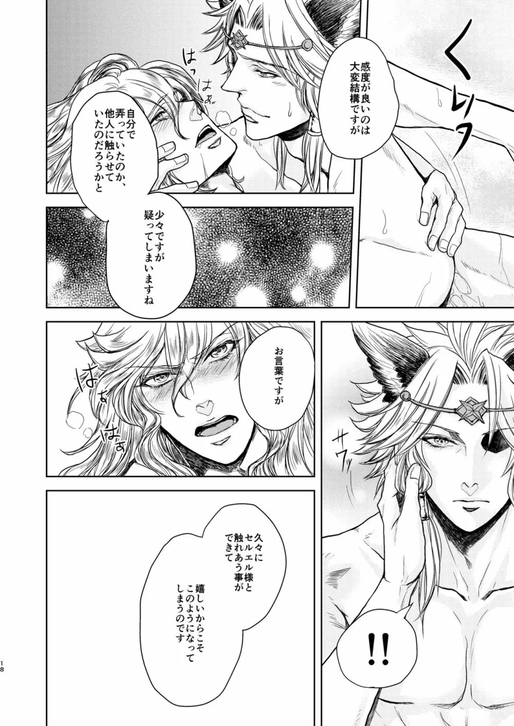 琥珀に映る藍玉 セルエル×ノイシュ再録 Page.18