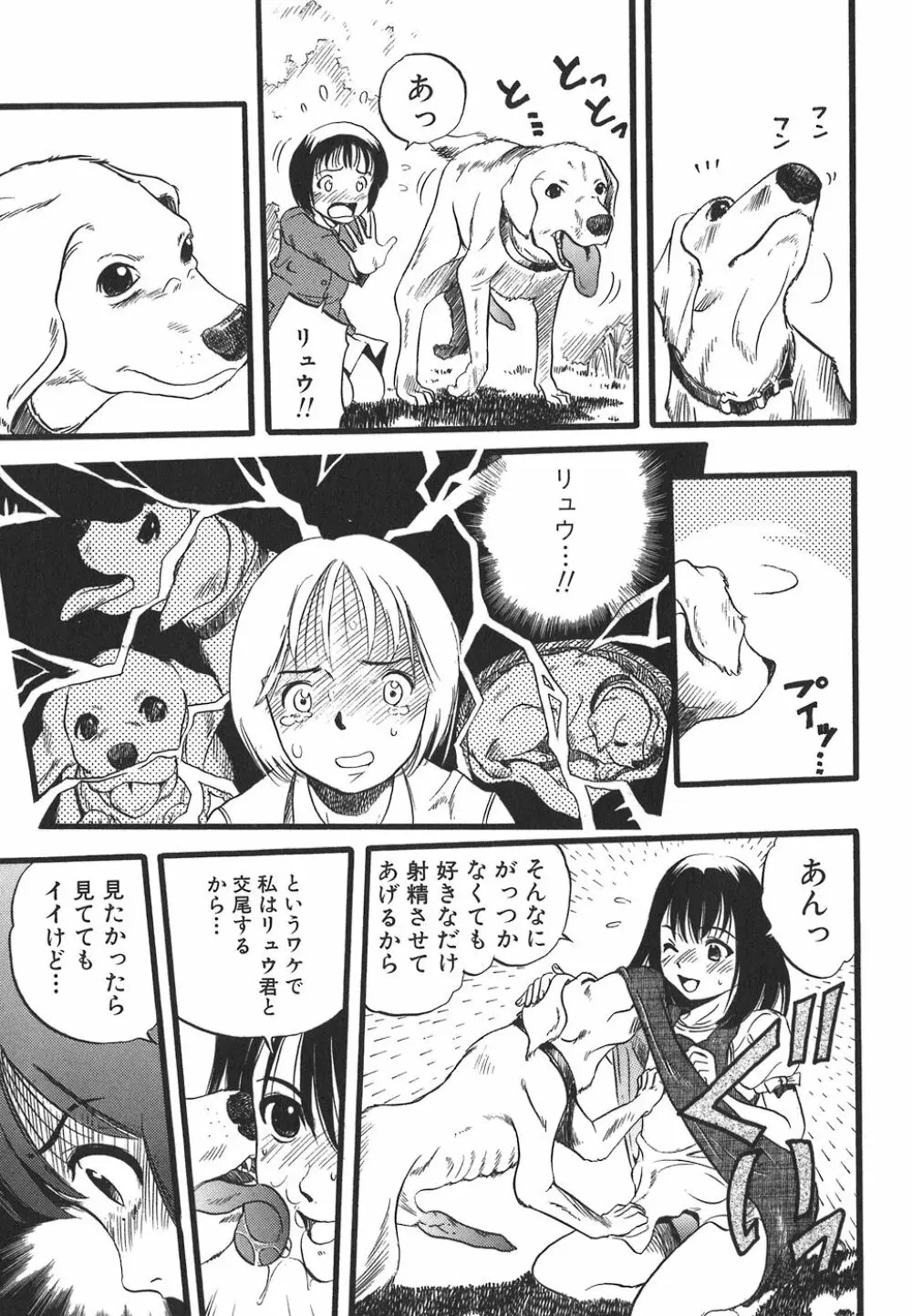 少女は犬の夢を見る Page.53