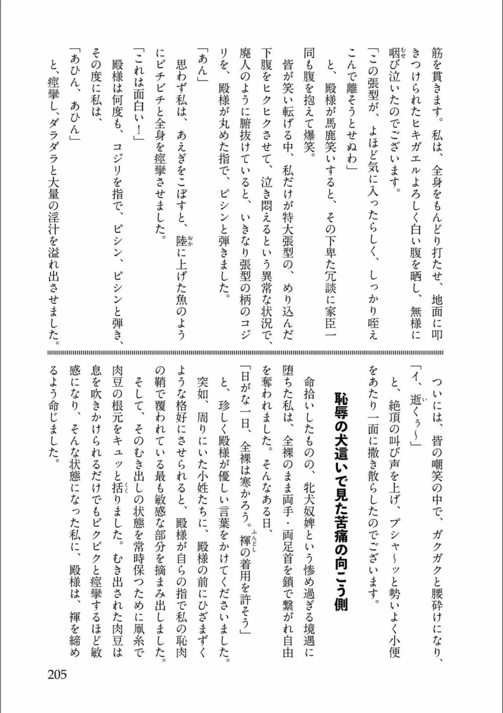 天保桃色水滸伝 3 Page.207