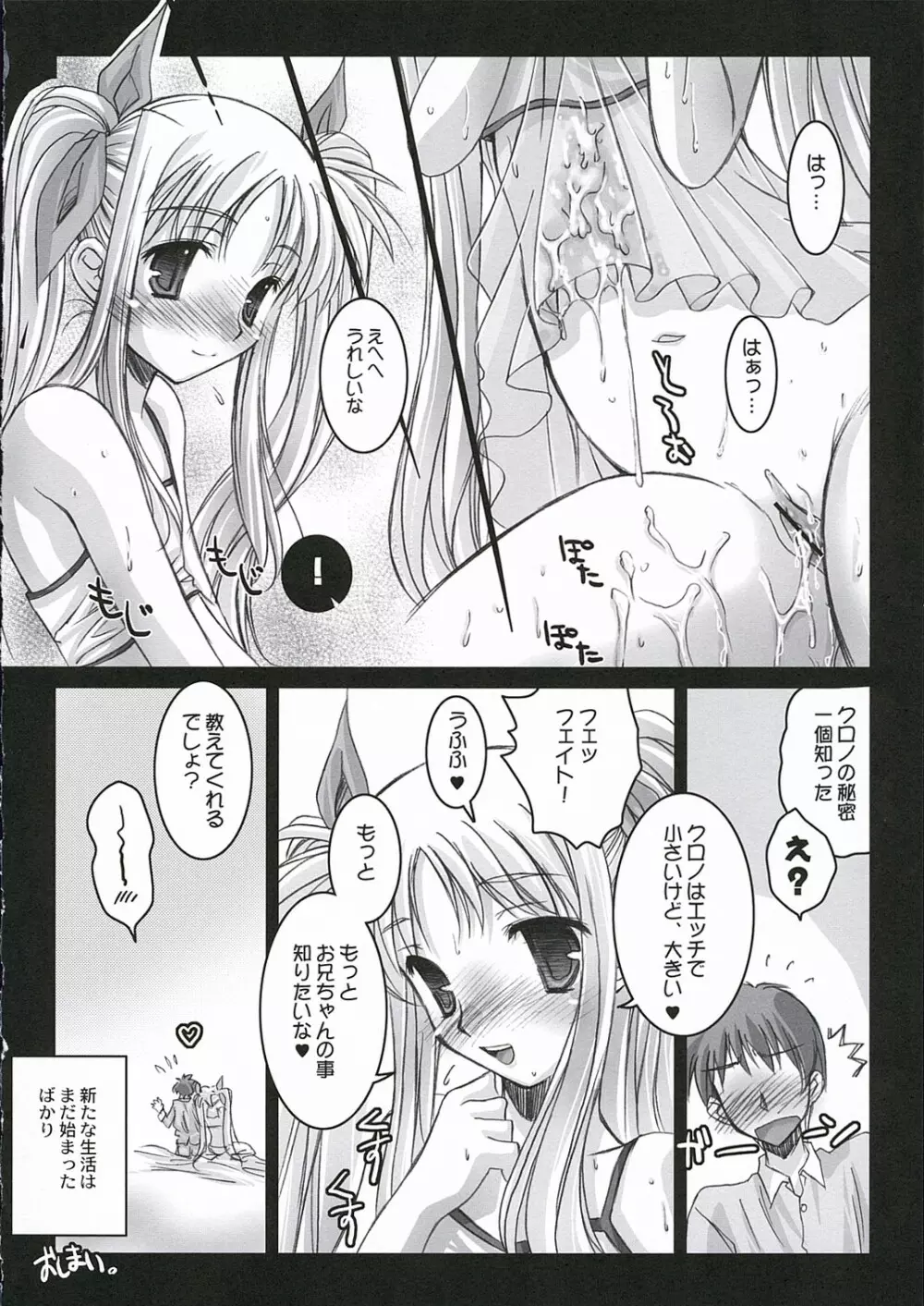 魔法少女リリカルなのはPs Page.13