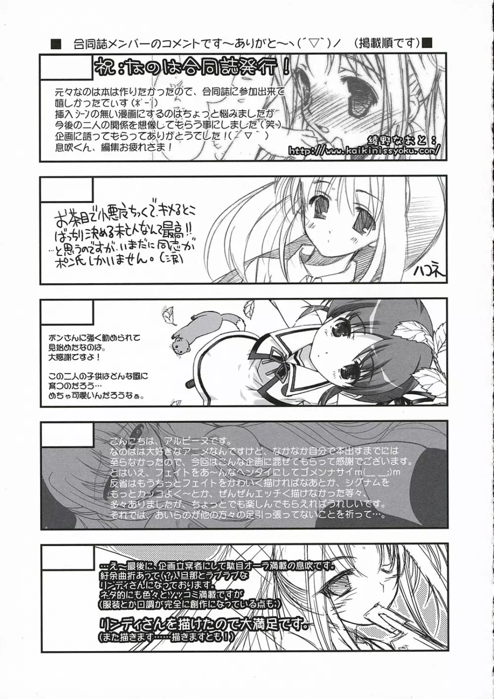 魔法少女リリカルなのはPs Page.48