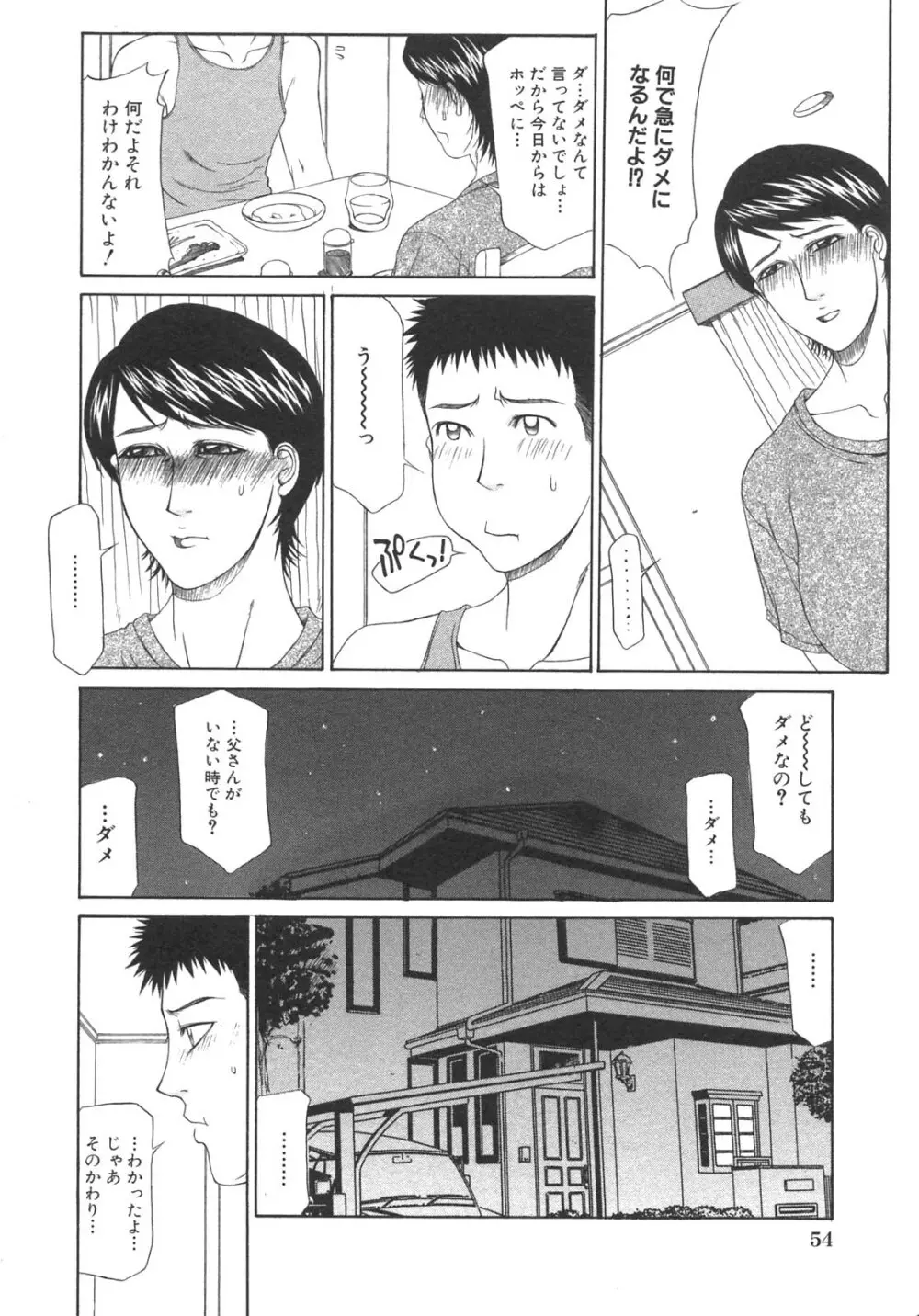 母子暴姦 vol.3 Page.55