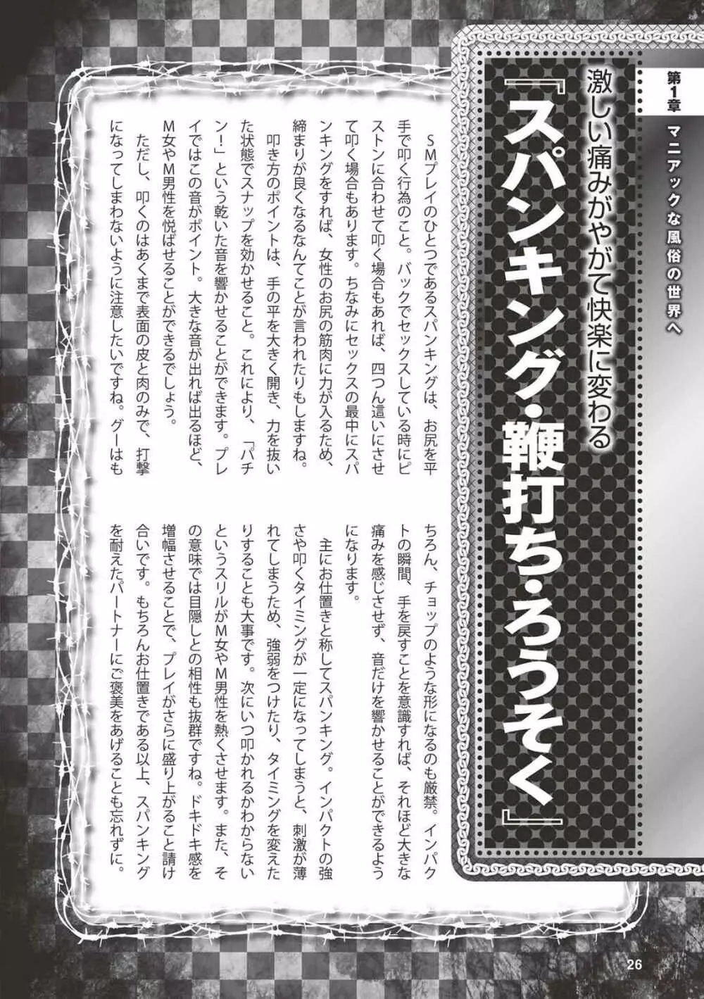 アブノーマル風俗入門 ラブドール風俗から、1000万円の風俗嬢まで Page.28