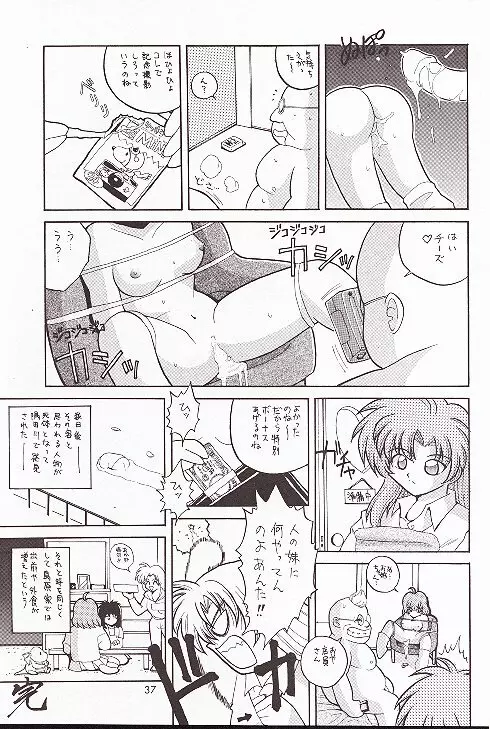 南海奇皇ネオランガ Page.36