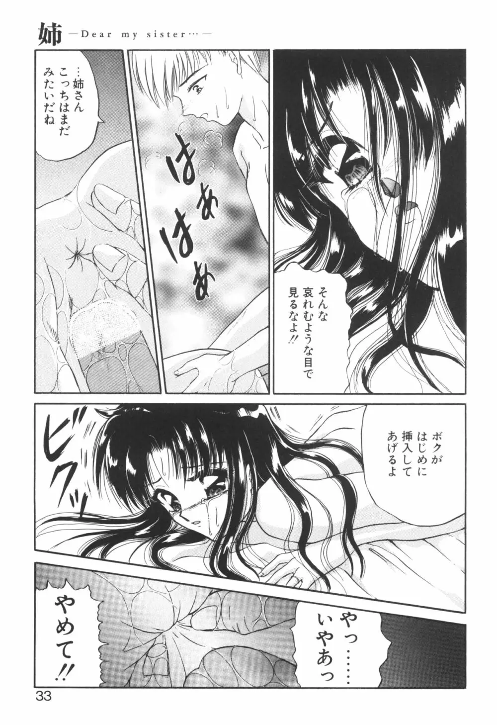 姉ーDEAR MY SISTER…ー Page.31
