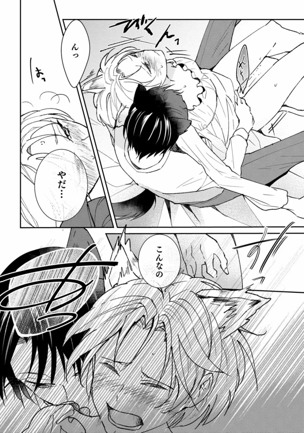 獣人騎士の敬愛 第2-5話 Page.22