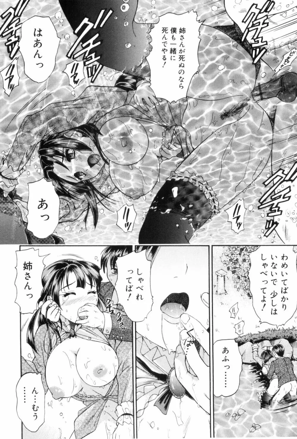 お姉ちゃんとボクの秘蜜 Page.98