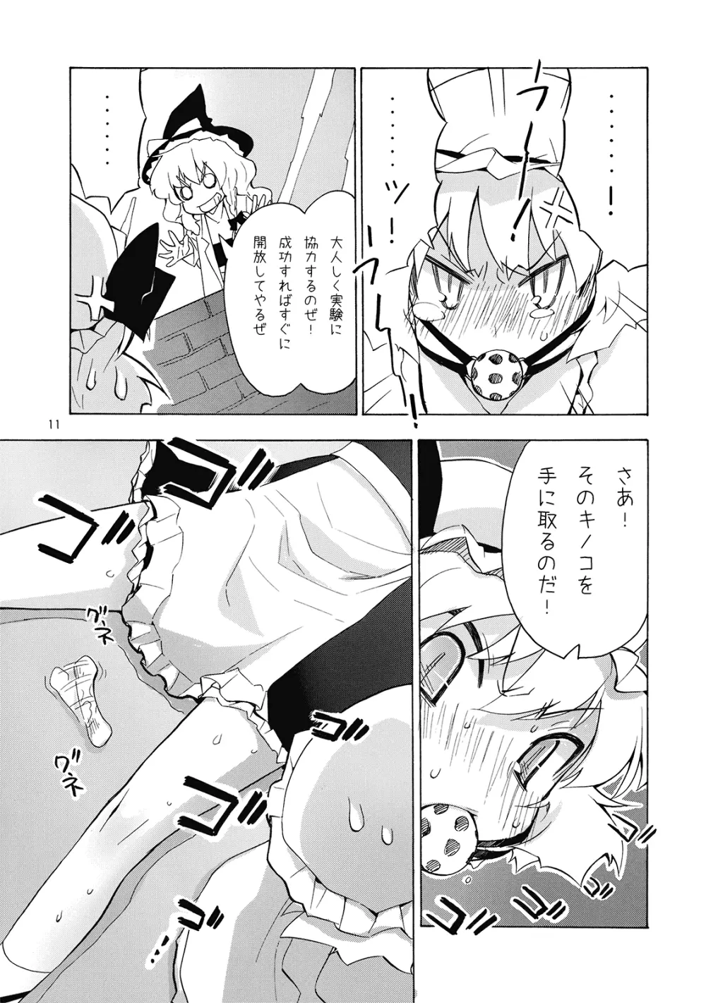 東方娯楽! Page.11