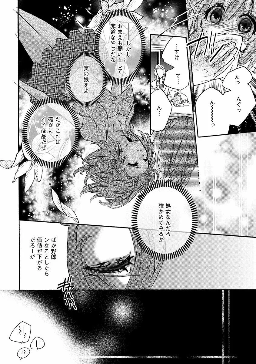 鬼畜兄弟の悶絶調教～私はいいなり奴隷～ Page.10