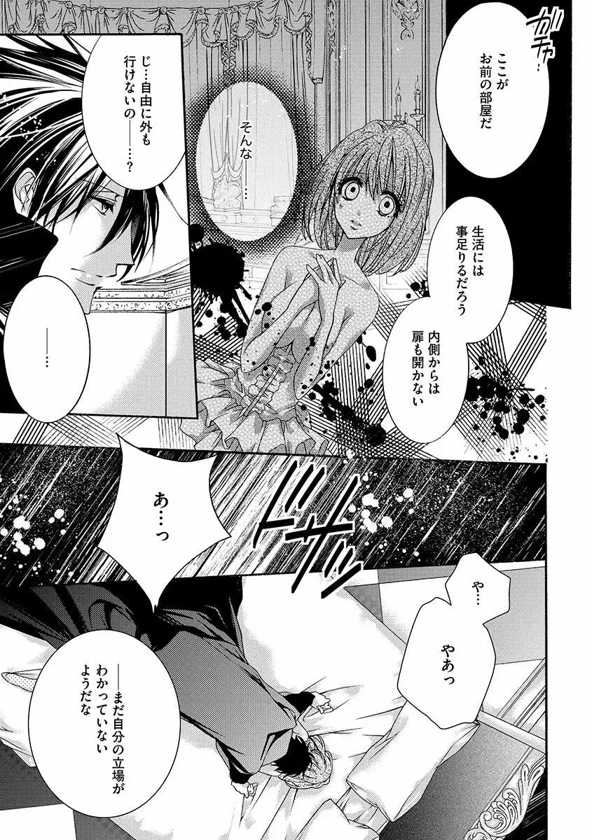 鬼畜兄弟の悶絶調教～私はいいなり奴隷～ Page.33