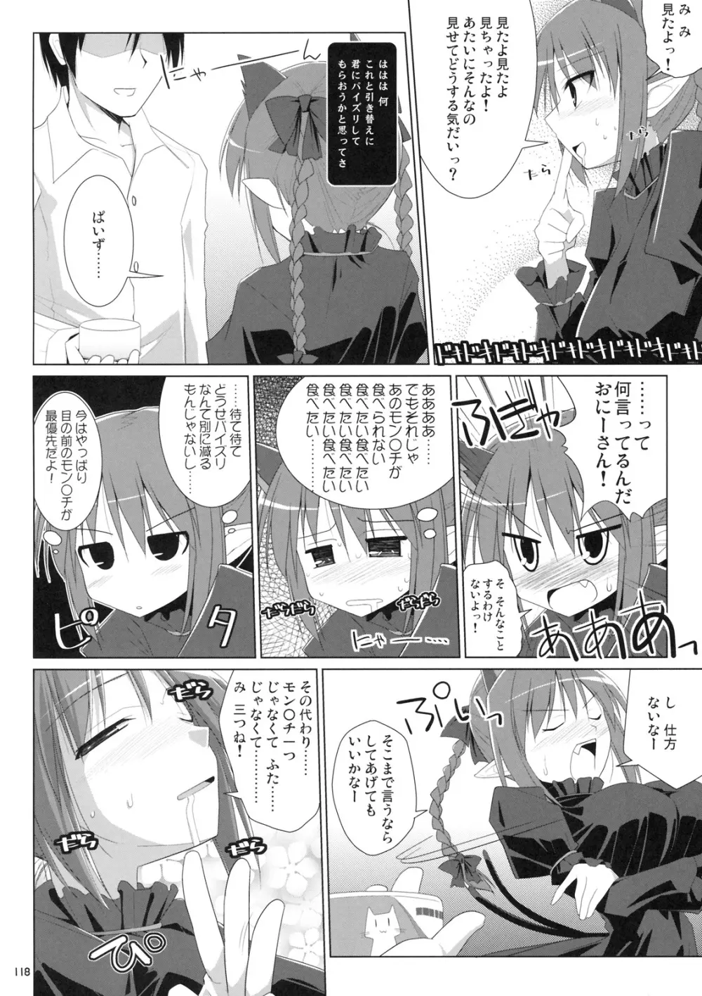 幻想郷乳図鑑 - 総集編 Page.117