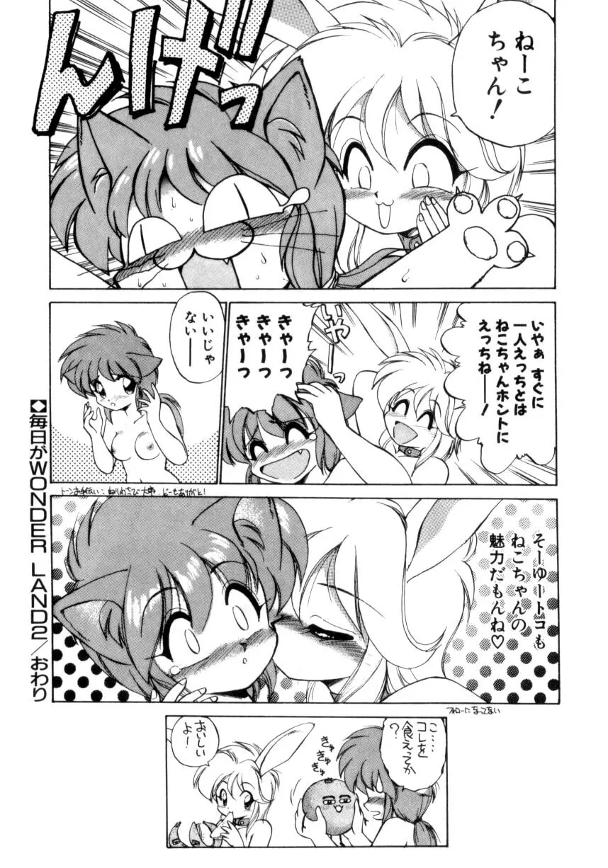 毎日がWONDER LAND Page.37