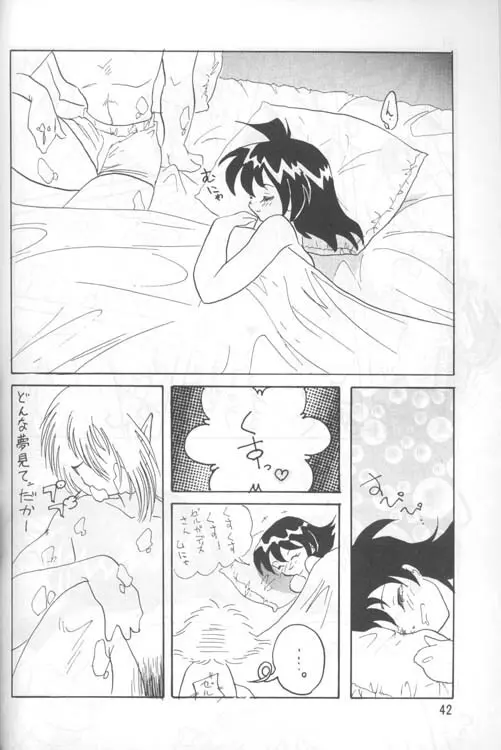 SLAYERS ADULT 4 Page.41