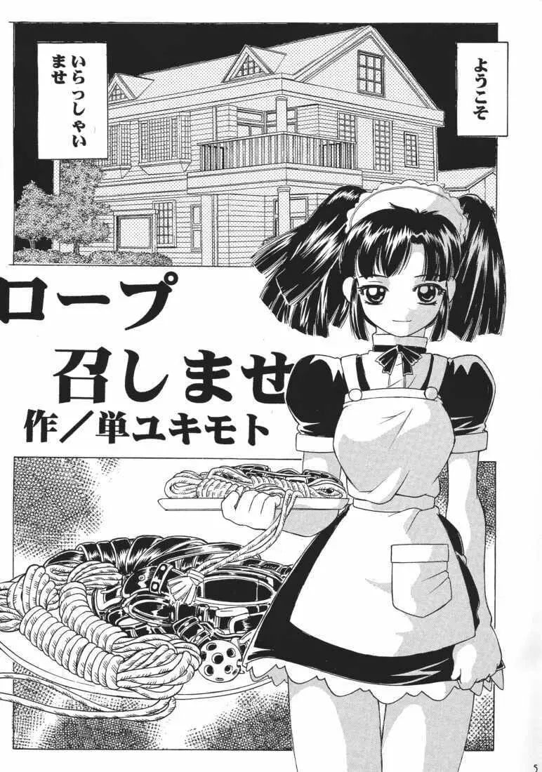 MAID GP2001 Page.4