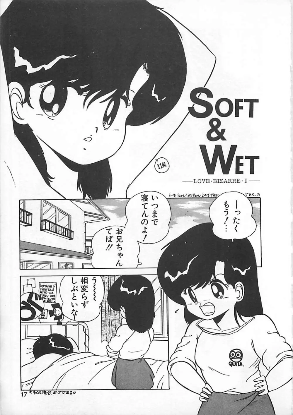 H先生のもしかしたら異常な愛情 Page.16