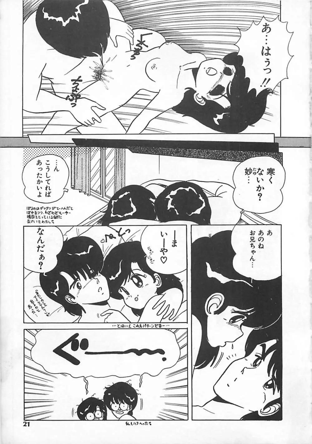 H先生のもしかしたら異常な愛情 Page.20