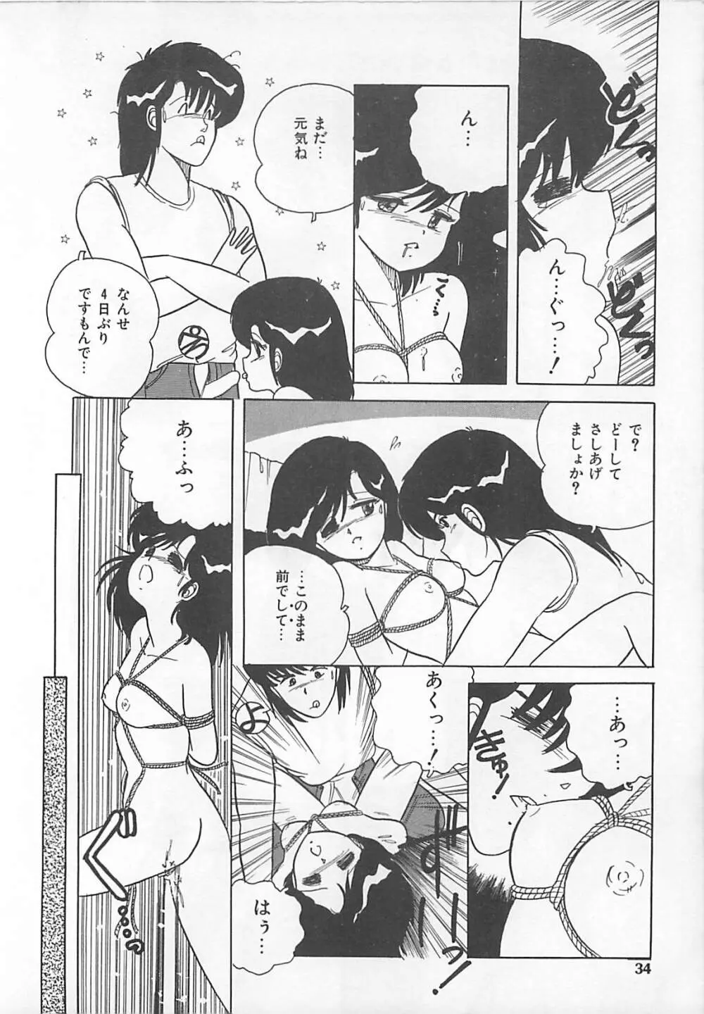 H先生のもしかしたら異常な愛情 Page.33