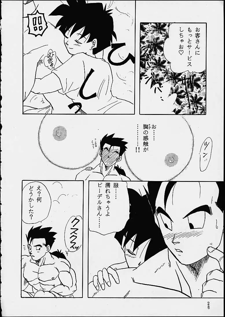 Z Page.26