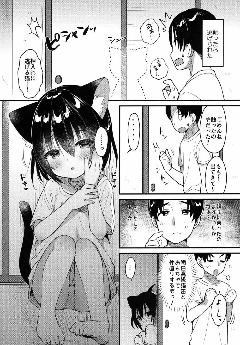 けもみみ きゅんきゅん Page.5