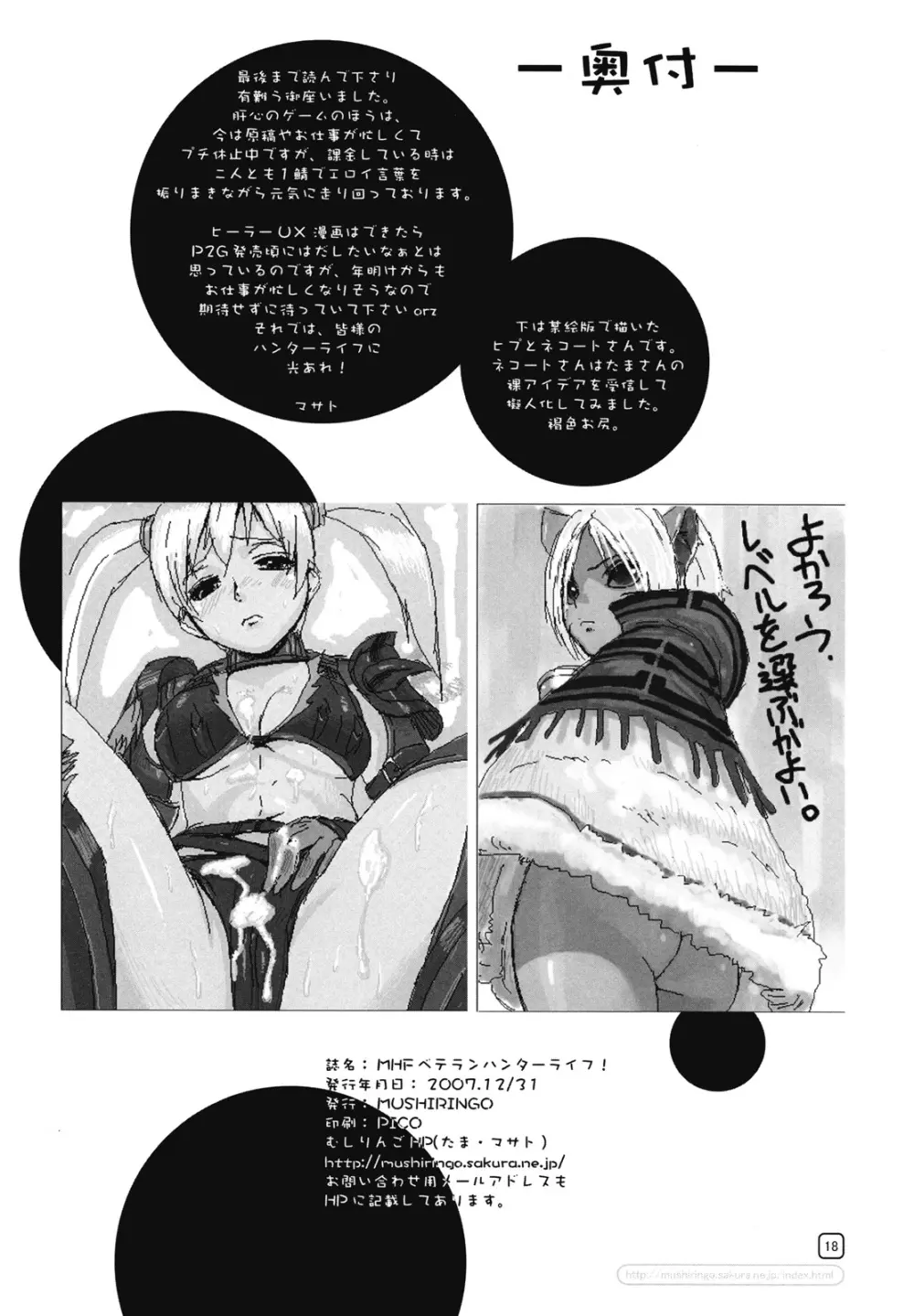 MHF ベテランハンターライフ！ Page.17