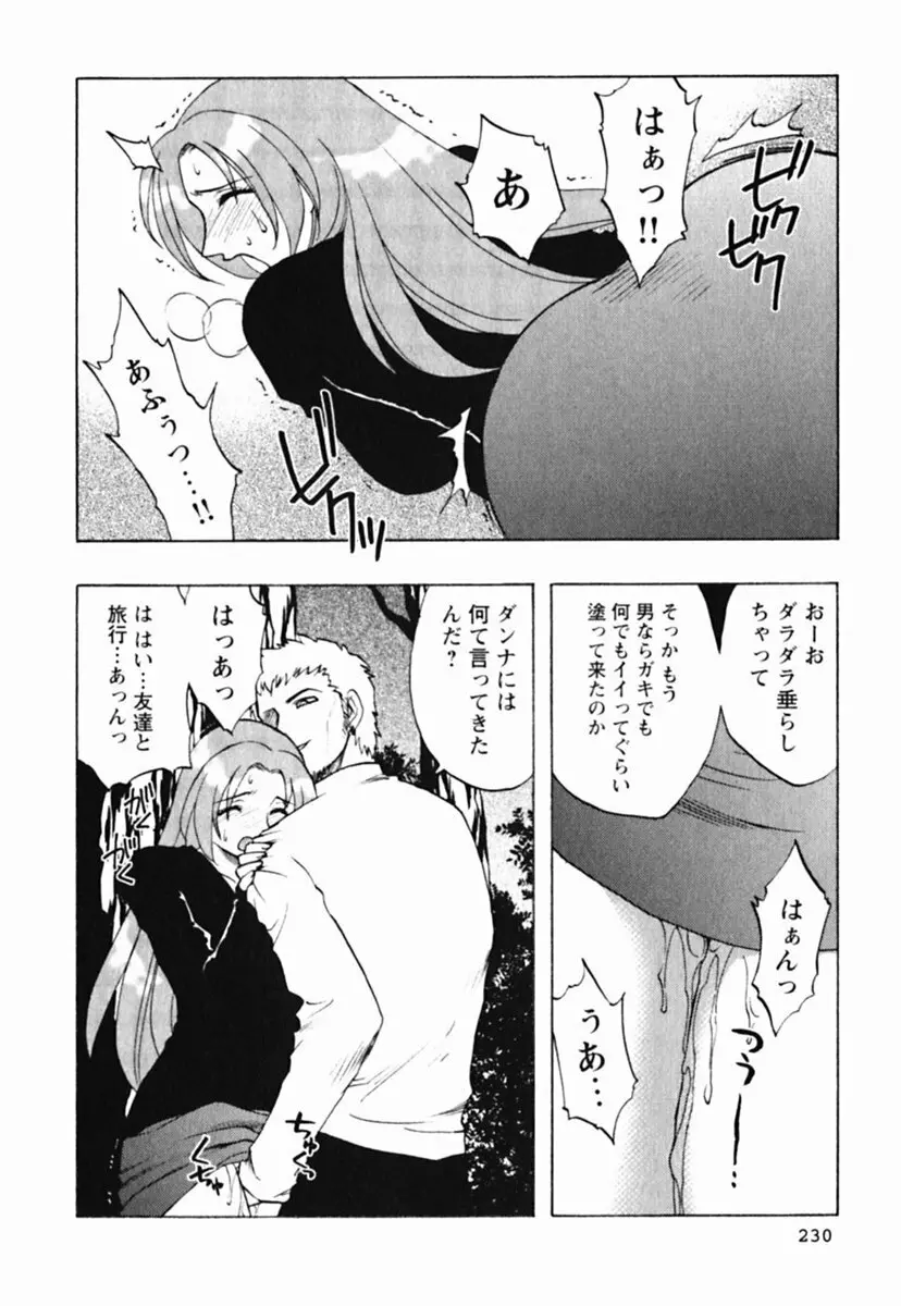 ミセスリンク Page.234