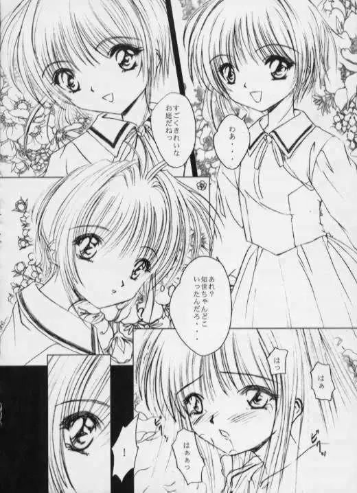 SPLENDID FLOWER GARDEN Page.15